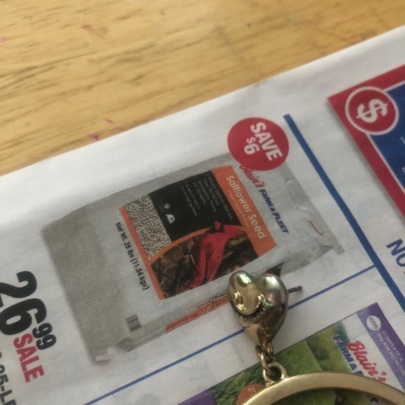 Earrings - Picture 2 of 2